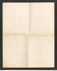 Nachlass Franz Steindachner, Brief von Miguel Calmondu Pin e Almeida an Franz Steindachner (17.07.1905), Inv.Nr. 72.03, Seite 8
